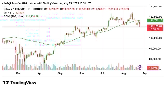 ⚠️CRIPTOVALUTE: Bitcoin: Volatilità in aumento e fiducia fragile nel mercato dopo il recente picco a $117.000