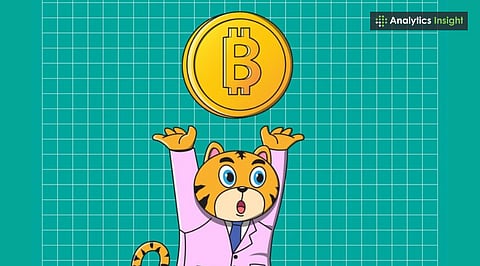 10 Memecoin Investment Risks Every Investor Should Remember