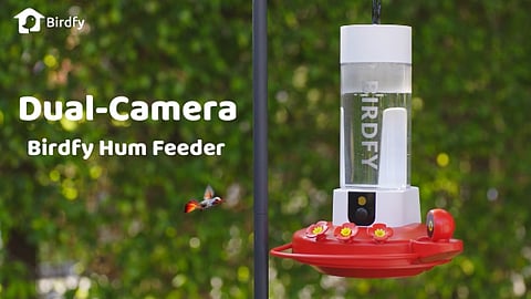 Birdfy Hum Feeder Duo: Tech Meets Nature for Hummingbird Enthusiasts