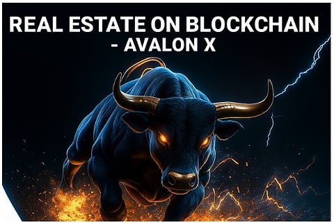 Investors Favour This RWA Token Over Dogecoin & Pepe As Meme Trading Slows Down