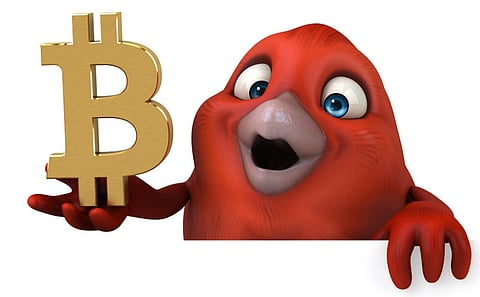 Solana, Pepe Or Remittix? Which One Is Tipped For 20x Gains And The Best Crypto To Buy Now In 2025