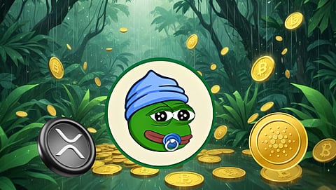 If You’re Looking to Turn $500 into $50,000 in 2025, Here’s Why Solana and Cardano Are Not the Answer and Where to Invest
