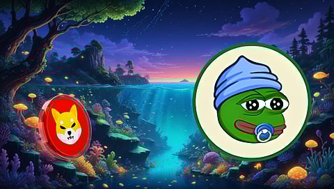 Shiba Inu Price Forecast: For Significant 2025 Returns, Consider This SHIB Alternative With 19741% Growth Prospects
