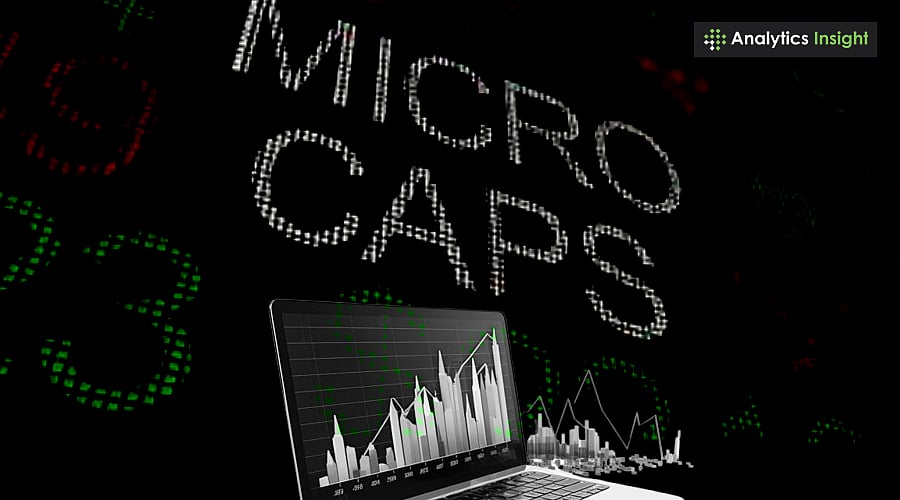 Top Microcap Stocks of 2025