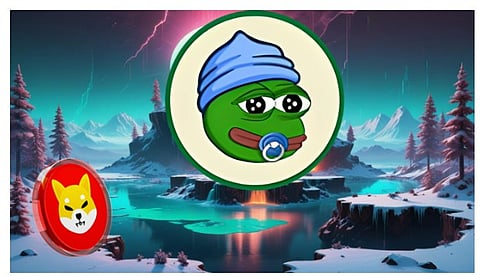 Best Meme Coin to Buy and Build a $5,000,000 Portfolio from $5,000 by 2026 as Shiba Inu (SHIB) Hype Dies Down