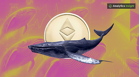 Whale Activity Sparks Ethereum Surge: Could $7,500 Be Next?  