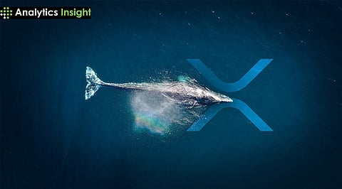 Could XRP Really Hit $10 as Whales, ETFs, and Global Adoption Drive Volatility in 2025?
