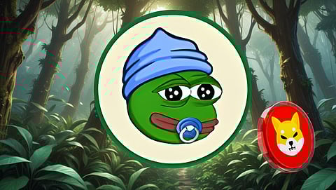 Shiba Inu (SHIB) on the Cusp of a God Candle: Top 4 Meme Coins to Accumulate Right Now

