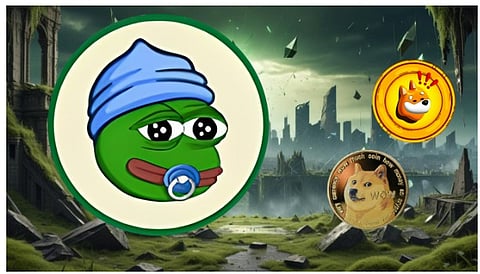 The Smartest Meme Coin Traders Are Ditching Dogecoin (DOGE) and Bonk (BONK) to Load Up on This Under-$0.005 Token