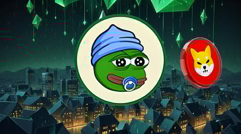 Shiba Inu (SHIB) Price to Reach $0.00015, While Little Pepe (LILPEPE) is Predicted to Skyrocket 12020%