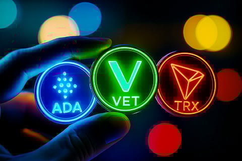 Undervalued Altcoins Under $1 - Best Crypto to Buy Now With ADA, VET and TRX on Analyst Watchlists