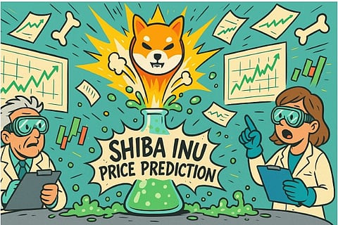 Shiba Inu Price Prediction