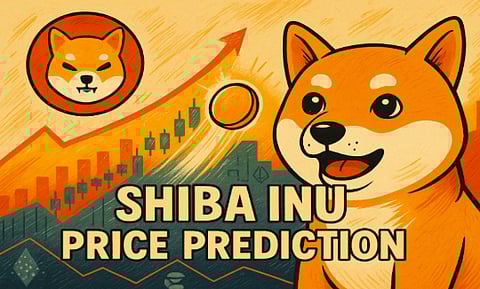 Shiba Inu Holders In For A Rough Ride As Meme Season Ends And SHIB Could Plummet In October