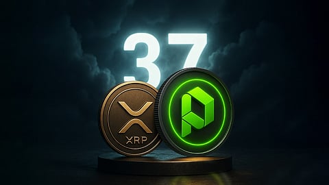 Paydax Protocol 