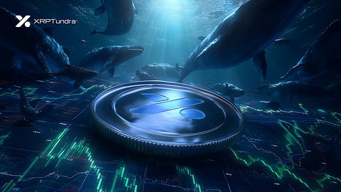 XRP Tundra