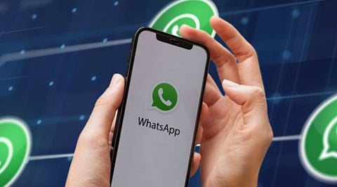 Why WhatsApp Referral Traffic Converts Better Than Instagram