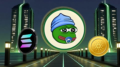 Little Pepe 