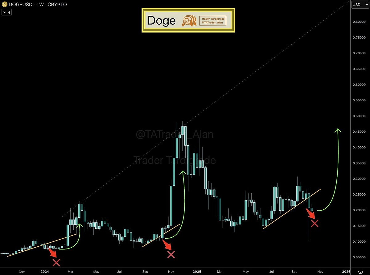 Dogecoin Latest News: Where Is DOGE Price Heading In Q4