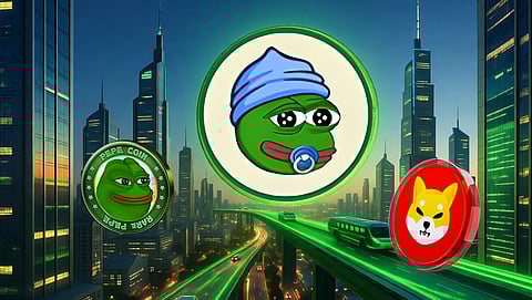 Shiba Inu (SHIB) vs Pepe Coin (PEPE) vs Little Pepe (LILPEPE): Predicting Which Meme Coin Will Erase a Zero from Its Price First in 2025
