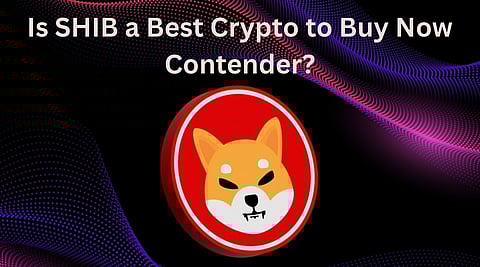 Shiba Inu Coin Price Watch — Burn Explodes 5,700% and Whale Flows Rise: Is SHIB a Best Crypto to Buy Now Contender?
