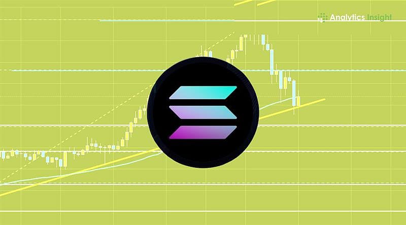 Solana Founder’s GitHub Upload Sparks Perp DEX Speculation
