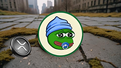 Little Pepe 