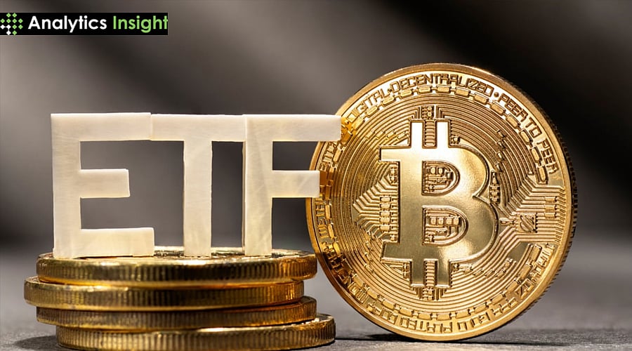 Can Bitcoin Whales Save BTC After $4.06 Billion in ETF Outflows?