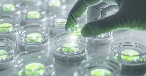 5 Presale ICOs to Buy In 2025: Crypto Presale Investments Opportunities With Big Upside Potential
