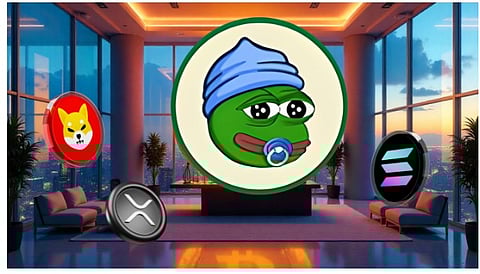 Why Just $300 in Shiba Inu