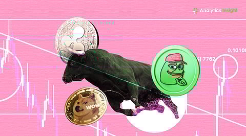 Best Meme Coins to Invest in Now Ahead of the 2026 Bull Run.jpg