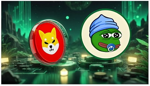 Shiba Inu Price Prediction