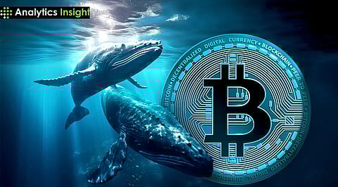 Bitcoin Whales Boost Large