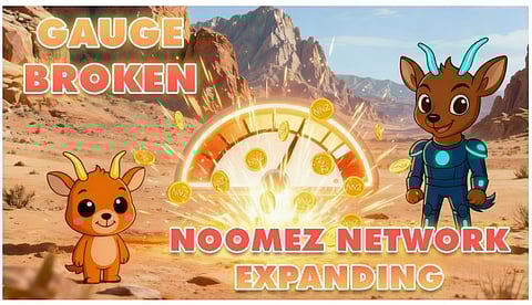 Crypto Crash Protection