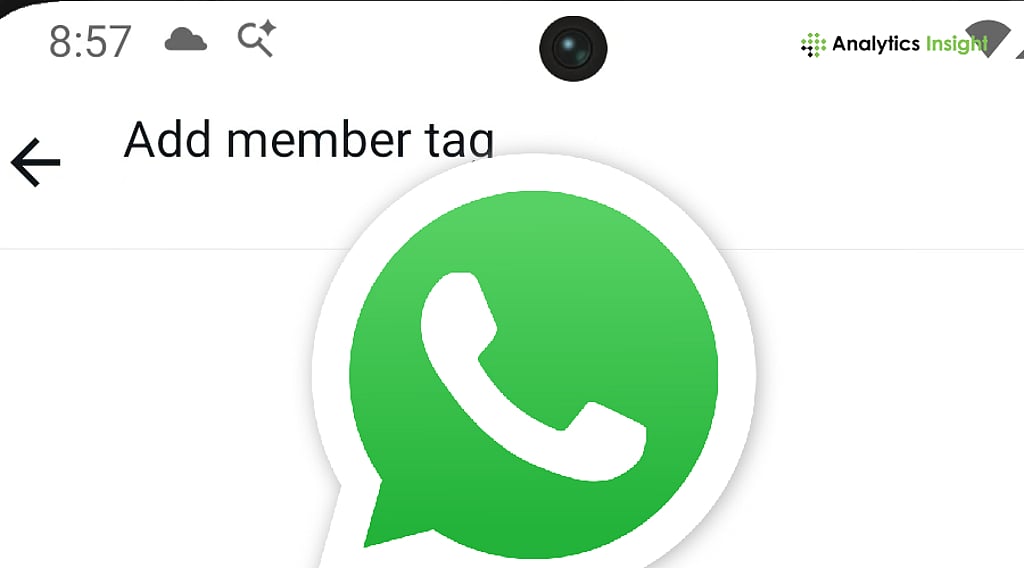 Using WhatsApp’s New Group Member Tags on Android