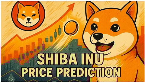 Shiba Inu Market