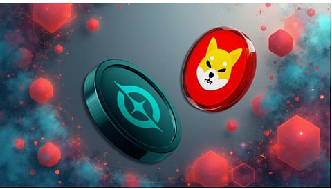 Shiba Inu (SHIB) Up 12.8