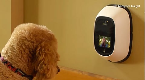 Top Pet Gadgets to Revolutionize Modern Pet Care in 2025