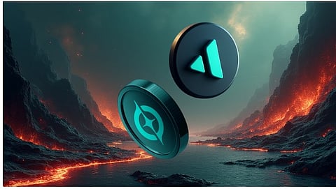 Avalanche (AVAX) Holders