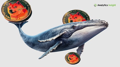 Dogecoin Whales Stop Moving: What’s Happening?