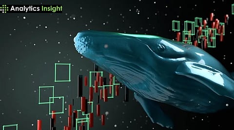 DOGE Climbs Higher as New Cycles Point Toward $0.75 Target
