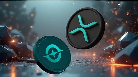 GeeFi's (GEE) Momentum