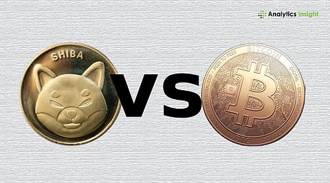 Shiba Inu vs Bitcoin: Long-Term Investment Guide