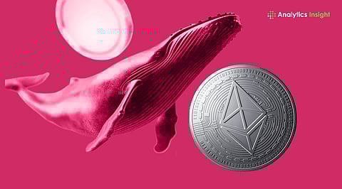 Ethereum Whales Sell Millions While Retail Investors Hold On.jpg