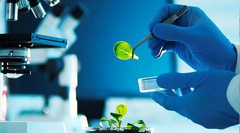 Best B.Tech Courses for Biology Students