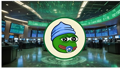 Top Crypto to Invest in