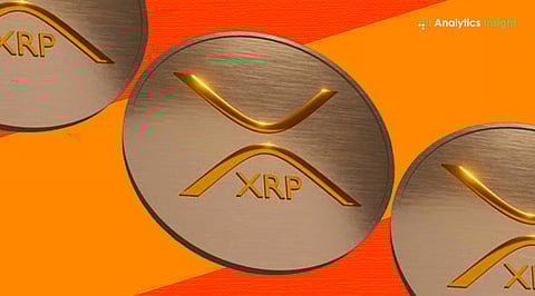 Top XRP Holders in 2026