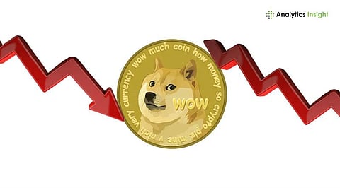 Are Investors Buying Dogecoin After the 16% Drop?