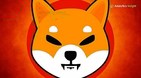 Shiba Inu at Critical Lows: Smart Money Buying or More Pain Ahead?