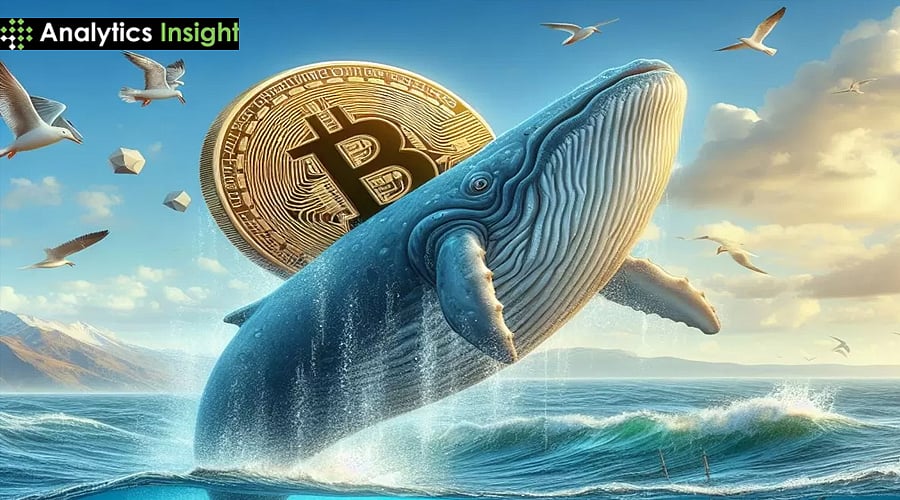 Bitcoin Faces Downside Risk as Whales Shift to Exchanges: What's Next?