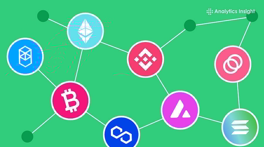 How Cross-Chain Crypto Wallets Are Helping Businesses in 2026